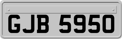GJB5950
