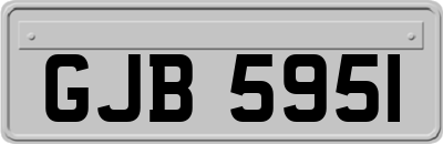 GJB5951