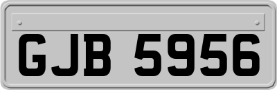 GJB5956
