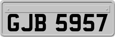 GJB5957