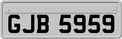 GJB5959