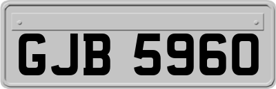 GJB5960