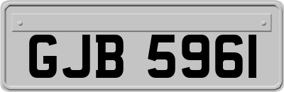 GJB5961
