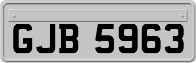 GJB5963