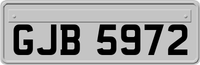 GJB5972