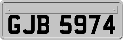 GJB5974