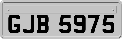 GJB5975
