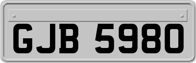 GJB5980