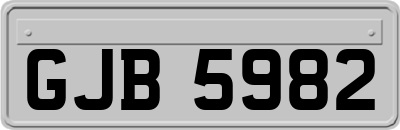 GJB5982
