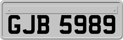 GJB5989