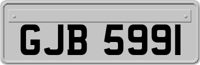 GJB5991