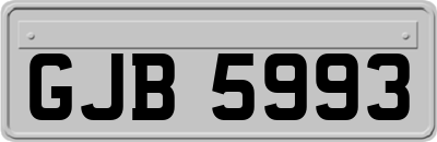 GJB5993
