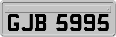 GJB5995