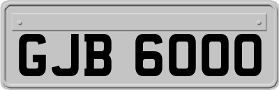 GJB6000