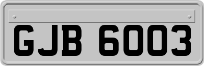 GJB6003