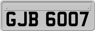 GJB6007
