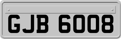 GJB6008