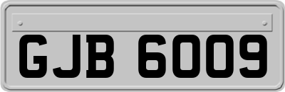 GJB6009