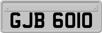 GJB6010
