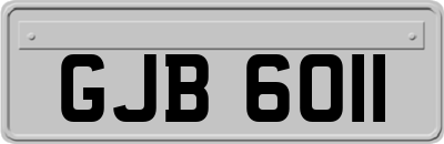 GJB6011