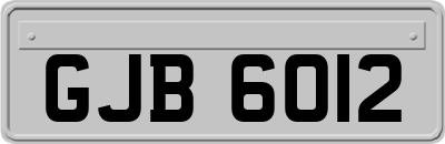 GJB6012