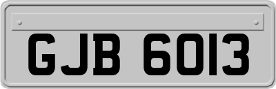 GJB6013