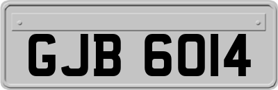 GJB6014
