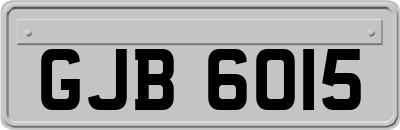 GJB6015