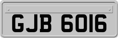 GJB6016