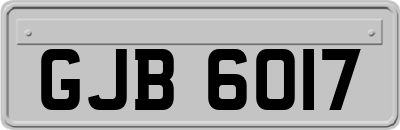 GJB6017