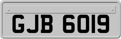 GJB6019