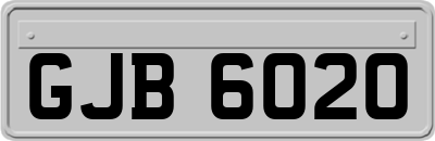 GJB6020