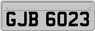 GJB6023