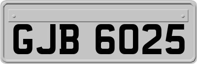 GJB6025