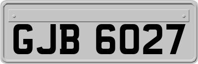 GJB6027