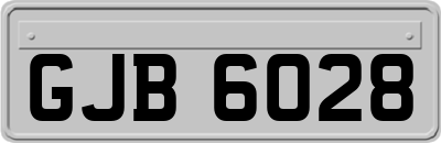 GJB6028