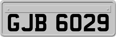 GJB6029