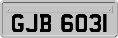 GJB6031