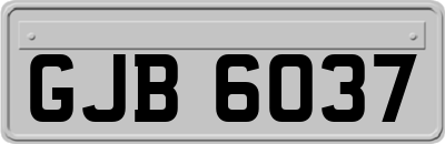 GJB6037