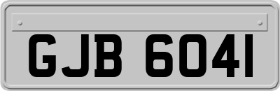 GJB6041