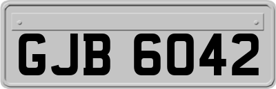 GJB6042