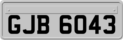GJB6043