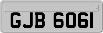 GJB6061