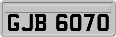 GJB6070