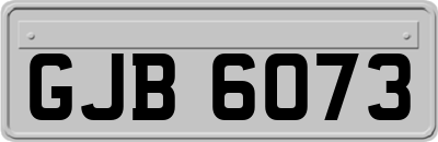 GJB6073