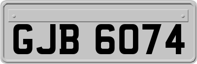 GJB6074