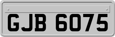 GJB6075