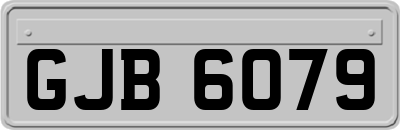 GJB6079