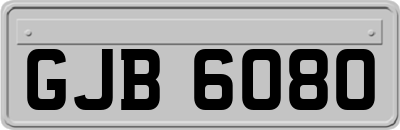 GJB6080