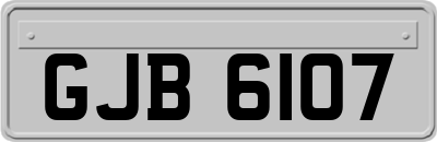 GJB6107